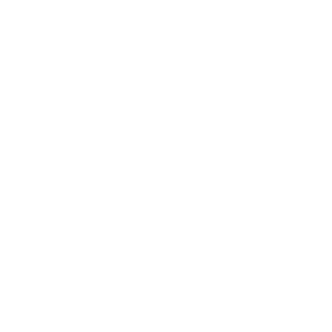 feels pilates logo white
